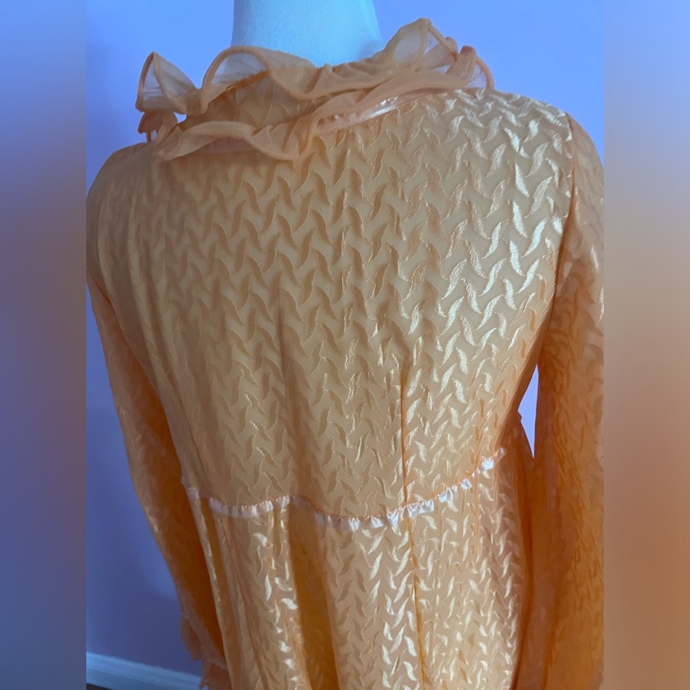 Vintage Ruffled Apricot Robe - Picture 5 of 10